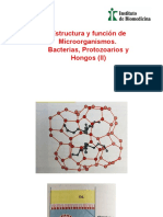 Estructura y Funciones de Los Microorganismos