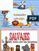 Animales Salvajes - 1