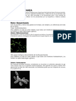 BIOSISTEMATICA (Según El Temario 2018)