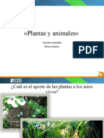 1527861052Plantas_y_animales