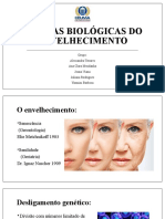 Teorias Biológicas Do Envelhecimento