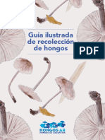 Guia Ilustrada de Recoleccion de Hongos - HongosAR