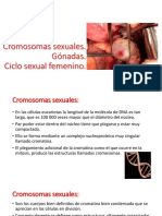 Ciclo Sexual