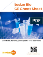 Bitesize Bio SDS-PAGE Cheat Sheet: Essential Buffer and Gel Recipes For Your Laboratory