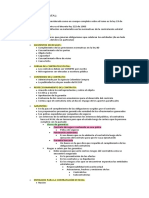 Repaso Segundo Corte Administrativo