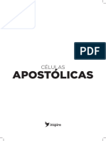 Células apostólicas encontros