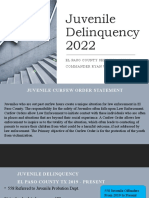 2022 Juvenile Delinquency presentation