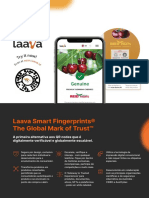 Laava Brochure - Premium Foods Cerejas - Maio 2022