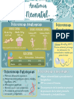 Anatomía Neonatal