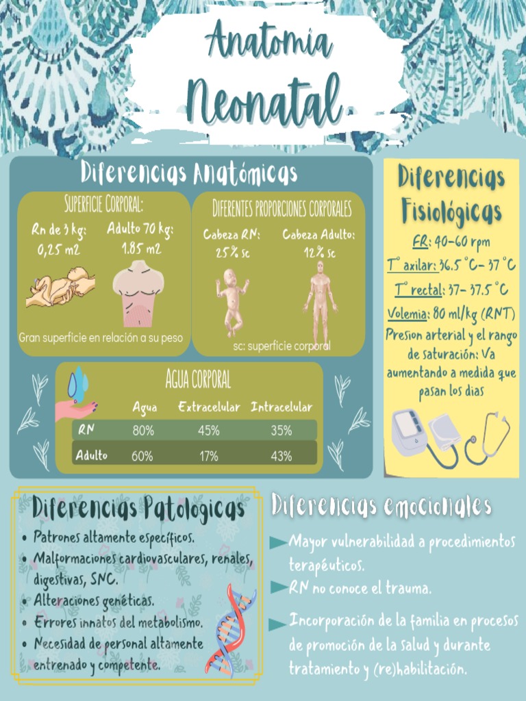 Anatomía Neonatal | PDF | Anatomia animal | Especialidades Medicas