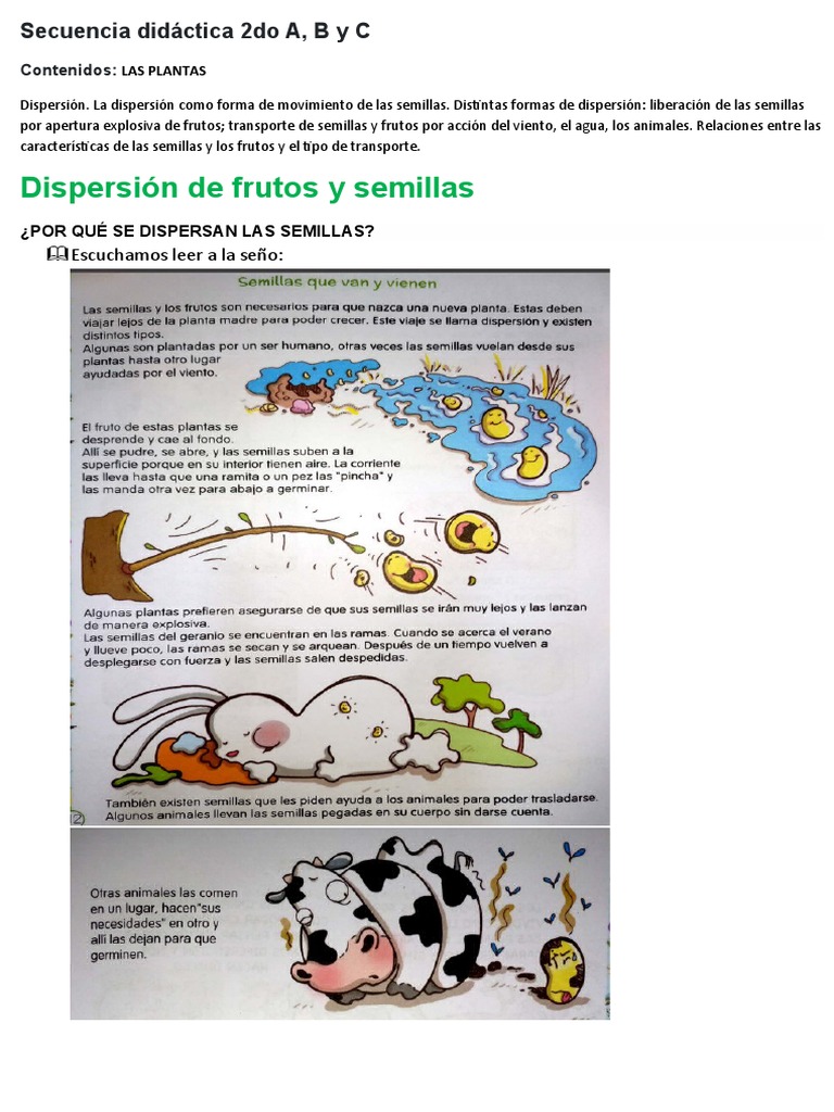 Dispersion de Frutos y Semillas | PDF | Fruta | Semilla, image size:768x1024