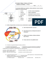 Aval 8ºano4ºbim