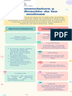 Ramírez Joanna Inforgrafianomenclatura