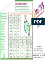 Entretenimiento MEDIO AMBIENTE