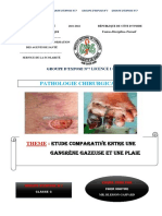 Comparatif Gangrene Gazeuse Et Plaie