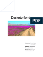 Desierto Florido