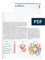 Capítulo 1 Introduction of Protein Structure