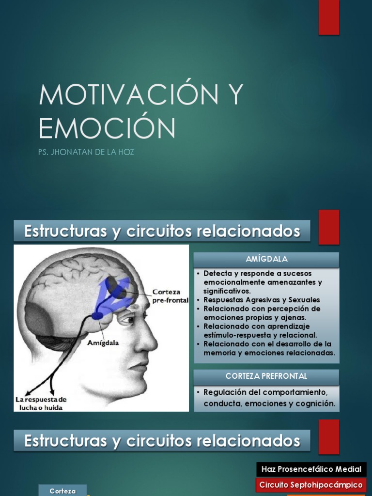 Circuitos de Motivación y Emoción | PDF | Las emociones | Hipotálamo