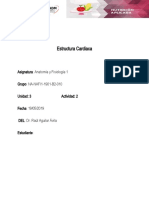 Estructura Cardiaca