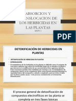 Absorcion y Translocacion de Los Herbicidas en Las