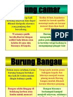 Bacaan Mudah - Burung