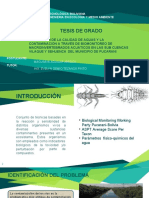 Tesis de Grado: Universidad Tecnológica Boliviana Carrera de Ingenieria en Ecologia Y Medio Ambiente