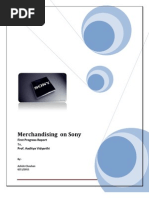 Sony First Progress Report