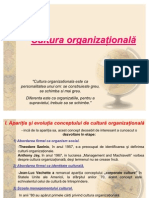 ML 3 Cultura Organizationala 1