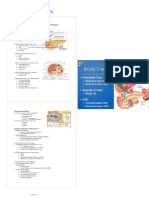 Peri-Ampullary Neoplasms