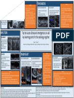 Top Ten Acute Ultrasound Emergencies On-Call Key Learning Points For The Radiology Registrar.