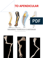 Miembro Anterior A2020 2