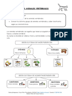 Los 5 grupos de animales vertebrados