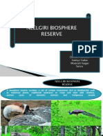 Neelgiri Biosphere Rserve 4