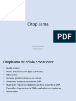Citoplasma - Médio Militar