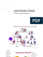 Mengenal Kanker Darah2