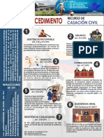 Grupo 1 - Infografia Proced - RCasacion