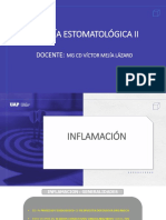 Clase Semana 5 Inflamación