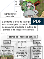 Agricultura - Pps PRIMEIRO ANO