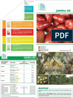 Brosur Program Pemupukan Jambu Air