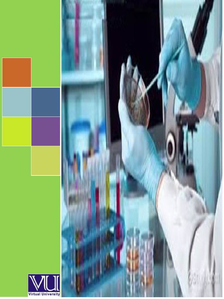 Understanding Biosafety Levels A Comprehensive Guide to Laboratory