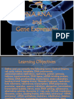 DNA RNA and Gene Expression II