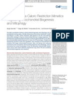 Polyphenols As Caloric Restriction Mimetics Regulating Mitochondrial Biogenesis and Mitophagy