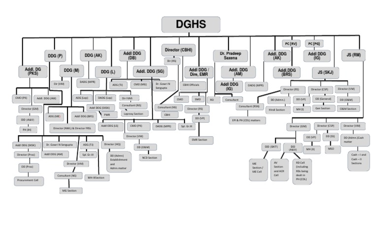 DGHS Organogram Overview | PDF