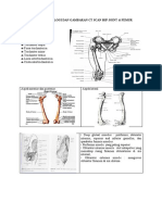 2 Anatomi-Patologi Dan Gbran Potongan CT Scan Femur - Hip Joint