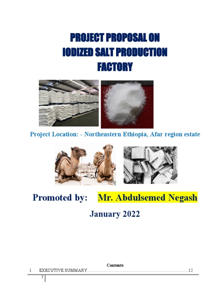 Iodized Salt Production Project Proposal | PDF | Iodine
