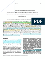 Saponins Can Cause The Agglutination of Phospholipid Vesicles