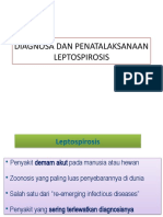 Diagnosa Dan Penatalaksanaan Leptospirosis Kab Probolinggo