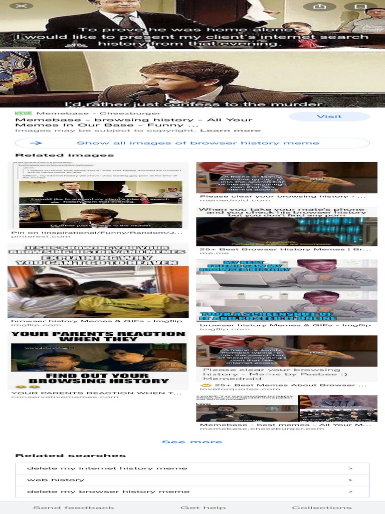 Browser History Meme Google Search PDF Viral Video Information