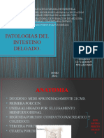 Patologias Del Intestino Delgado