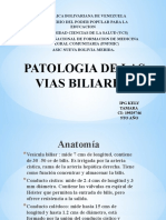 Patologia de Las Vias Biliares